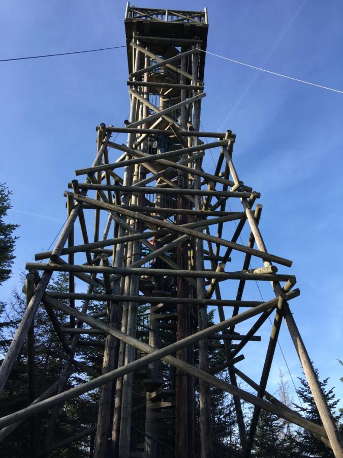 Gite Les Dryades Жерарме Экстерьер фото